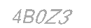 Güvenlik Kodu