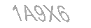 Güvenlik Kodu
