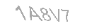 Güvenlik Kodu