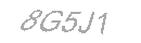 Güvenlik Kodu