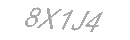 Güvenlik Kodu