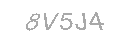 Güvenlik Kodu