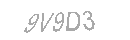 Güvenlik Kodu