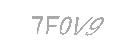 Güvenlik Kodu