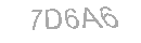 Güvenlik Kodu