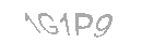 Güvenlik Kodu