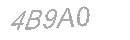 Güvenlik Kodu