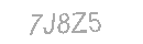 Güvenlik Kodu