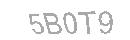 Güvenlik Kodu