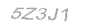 Güvenlik Kodu