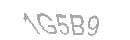 Güvenlik Kodu