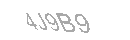 Güvenlik Kodu