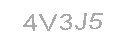 Güvenlik Kodu