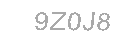 Güvenlik Kodu