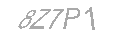 Güvenlik Kodu