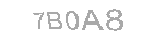 Güvenlik Kodu