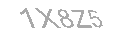 Güvenlik Kodu