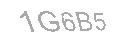 Güvenlik Kodu