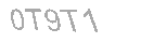 Güvenlik Kodu