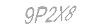 Güvenlik Kodu