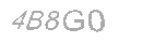 Güvenlik Kodu