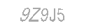 Güvenlik Kodu