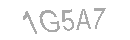 Güvenlik Kodu