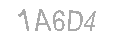 Güvenlik Kodu