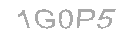 Güvenlik Kodu
