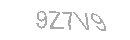 Güvenlik Kodu