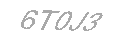 Güvenlik Kodu