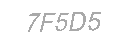 Güvenlik Kodu