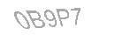 Güvenlik Kodu