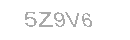 Güvenlik Kodu